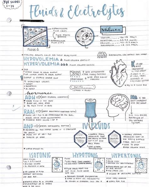 Image result for Teas Science Practice