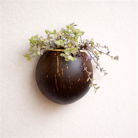 Coconut Shell Wall Mount Pot – H'art N Craft