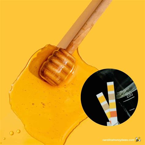 Honey pH: Is Honey Acidic?- Carolina Honeybees