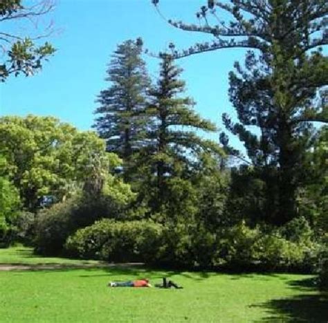 Arderne Gardens, cape town, South Africa - Top Attractions, Things to ...