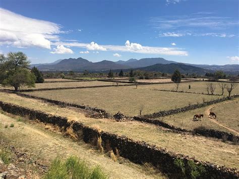 HOTEL LOS ALCATRACES (Tzintzuntzan) - Hotel Reviews & Photos - Tripadvisor