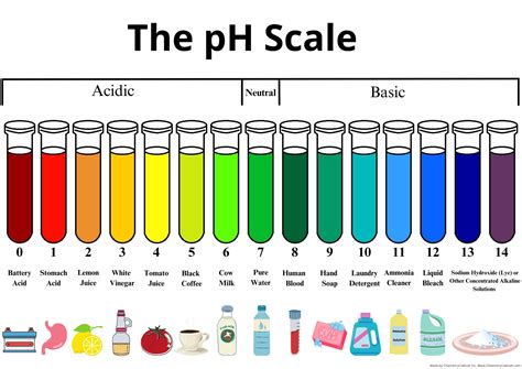 PH Scale Explained 的图像结果