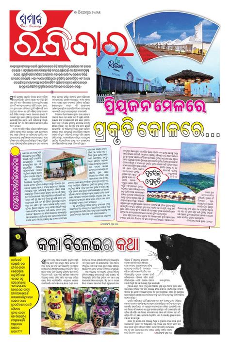 The Samaja ePaper : Digital Odia News ePaper of Odisha | Samajaepaper.in