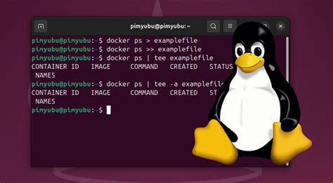 Image result for Linux Commands File Output