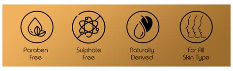 Buy ETNIA Sandalwood Body Wash | Pack of 300 Ml | Enriched With ...