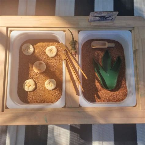 TERM1- WEEK 2- OSPREY WATERS- DINO STOMP, Osprey Waters Reserve ...