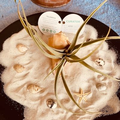 Image result for Custom Predator Leonard