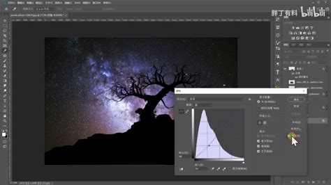 How To Resize A Layer In Photoshop | Images and Photos finder