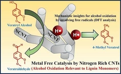 Metal-Free Catalytic Conversion of Veratryl and Benzyl Alcohols through ...