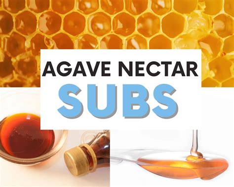 The Best Agave Nectar Substitutes To Try (Plus Sugar-Free Options ...