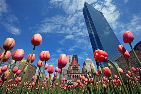 Send a confidential news tip to The Boston Globe - The Boston Globe