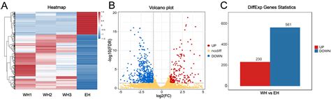 Uncovering Novel Features of the Pc Locus in Horn Development from Gene ...