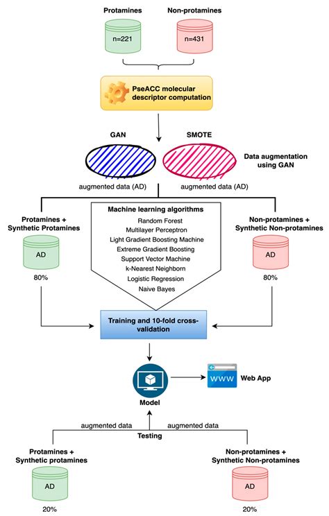 PROTA: A Robust Tool for Protamine Prediction Using a Hybrid Approach ...