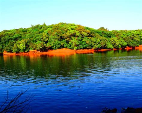 History with Travels - Articles