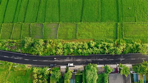 Invest in Premium Plots in Gurgaon - Shape Your Dream Property | Golden ...