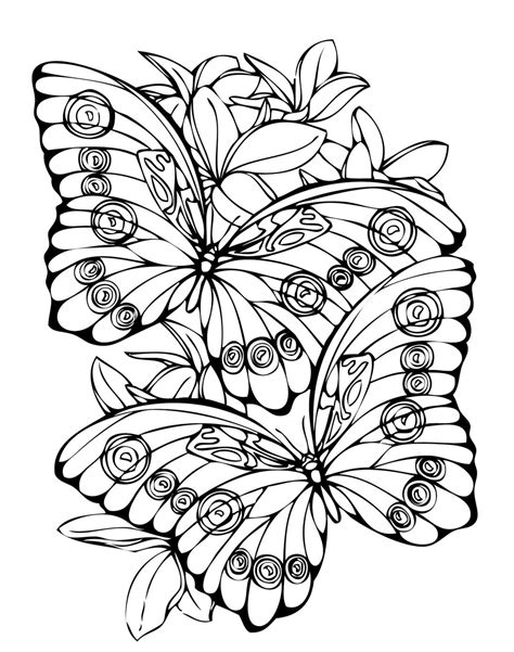 Butterfly coloring pages - 100 Printable coloring pages
