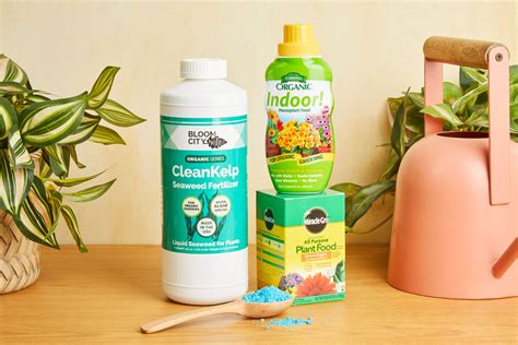 The 9 Best Fertilizers for Indoor Plants, Reviewed by BHG
