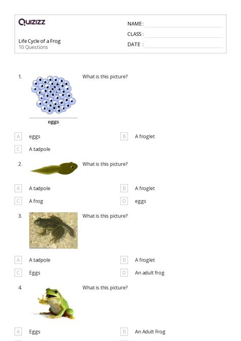 50+ Slope of a Line worksheets for 2nd Class on Quizizz | Free & Printable