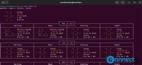 Forecast Weather Wttr in Python 的图像结果