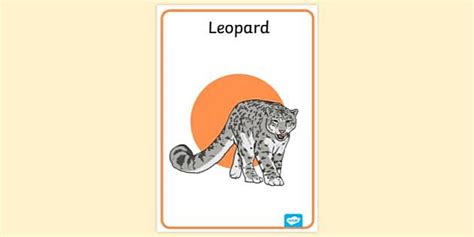 Leopard Poster | Display Posters | Primary Resources