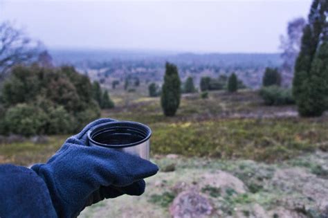 Cropped hand holding drink in container on field | Premium Photo