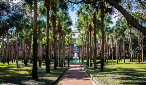 Stetson University - Link for Counselors