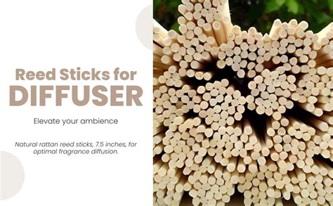 Pure Source India Reed Sticks for Diffuser 7.5 Inch, 20 pcs, Natural ...