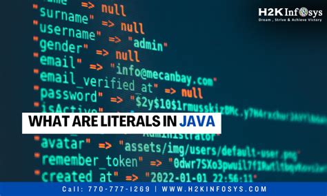 Image result for Literals in Java Program