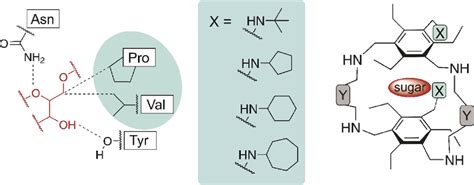 Cycloalkyl Groups as Building Blocks of Artificial Carbohydrate ...