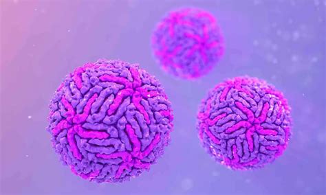 Experts say the Zika virus is mostly asymptomatic and similar to dengue ...