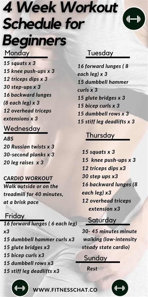 Image result for Beginner Gym Workout Routine