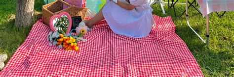 Picnic Equipment Rental Service at Hangang River in Seoul (Ttukseom ...