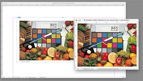 Image result for Color Tool InDesign