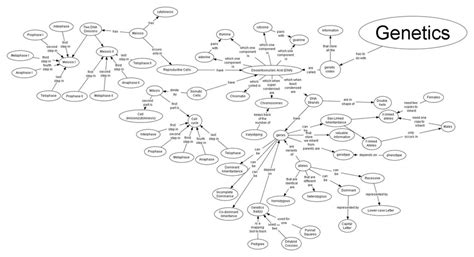 Image result for Genetic Engineering Concept Map