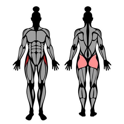 How to Do Cable Machine Hip Abduction: Muscles Worked & Proper Form – StrengthLog