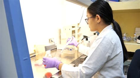 IIT Guwahati harnesses clay sedimentation to identify and measure ...