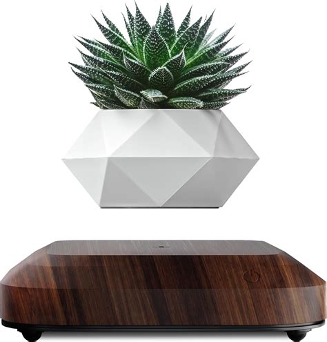 Amazon.com: LEVINA Authentic Levitating Floating Plant Pot for Air ...