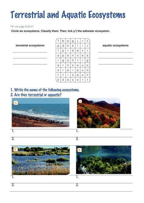 Ecosystem Worksheet 的图像结果