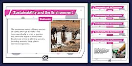 What Is Sustainability? Display Poster (teacher made)