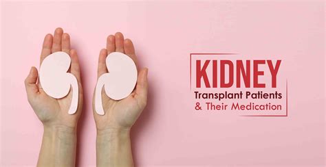 Medication Process Of Kidney Transplant Patients | MrMed