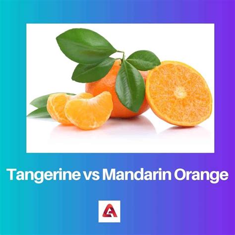 Mandarin And Tangerine The Same at Isabelle Bloch blog