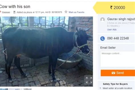 15 Hilarious Online Classifieds That Are Selling Crazy Things