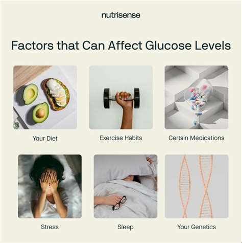 Everything You Should Know About the Glucose Curve - Nutrisense Journal