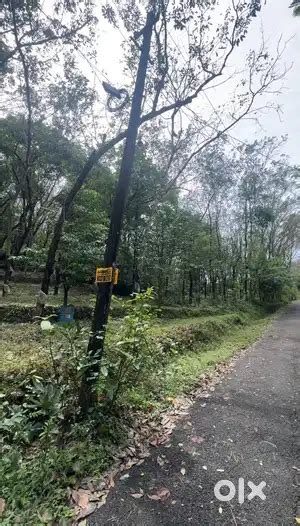 ₹48000 per cent in a developing region - Lands & Plots - 1825645528