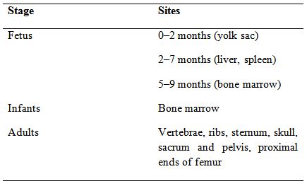 Table 1: Sites of Haemopoiesis in humans