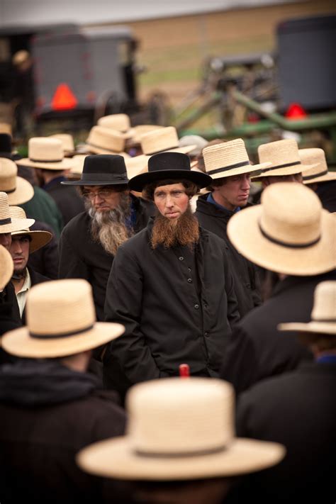Amish: A plain clothed Mennonite sect living mostly in Ohio and ...