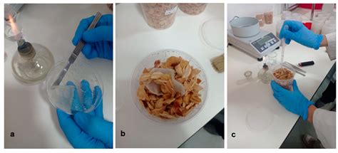 Incubating Pallet Wood Samples Does Not Enhance Detection of ...