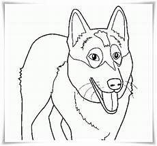 hunde ausmalbilder kostenlos ausdrucken ausmalbilder zum ausdrucken ausmalbilder hunde hunde ausmalbilder kostenlos ausdrucken ausmalbilder zum ausdrucken ausmalbilder hunde