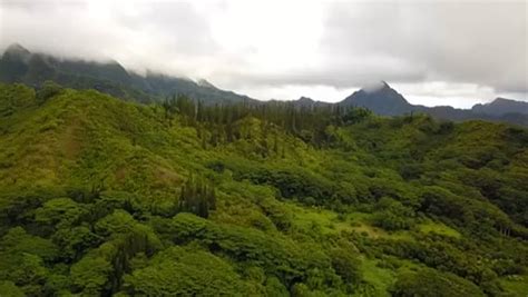 Kokua MHW Group - Therapy, Counseling, Therapy Services, Therapy