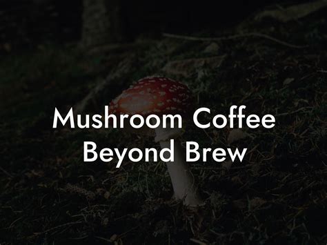 Mushroom Coffee Beyond Brew - Mr Mushroom